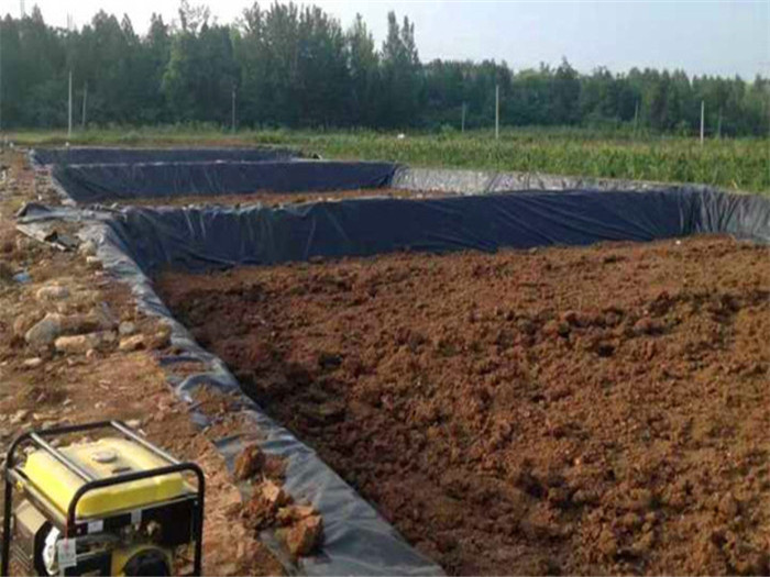 西藏藕池专用防渗膜