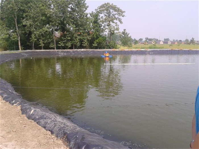 西藏鱼塘防渗膜
