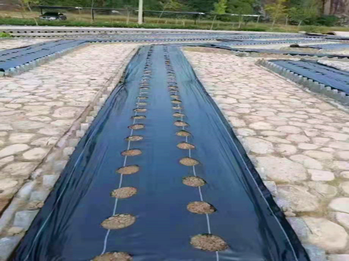 西藏果园防草布规格和价格多少