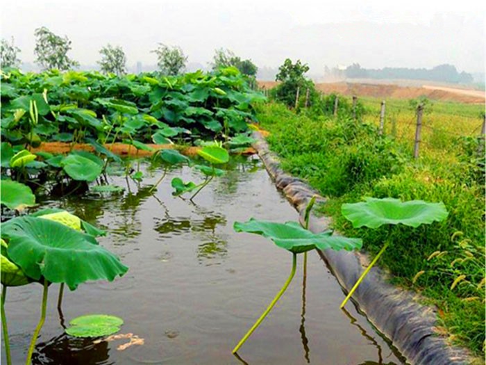 1652948198202880.jpg a3217b5139f04e8fe3bcd952717ab393_82224b4672b5e61f6da99e1fbc1c217d.jpg