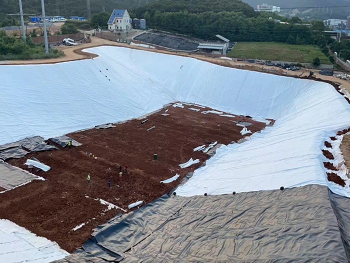 1655772820126937.jpg bd09cc7aabcd540f8a3706526d254e3.jpg