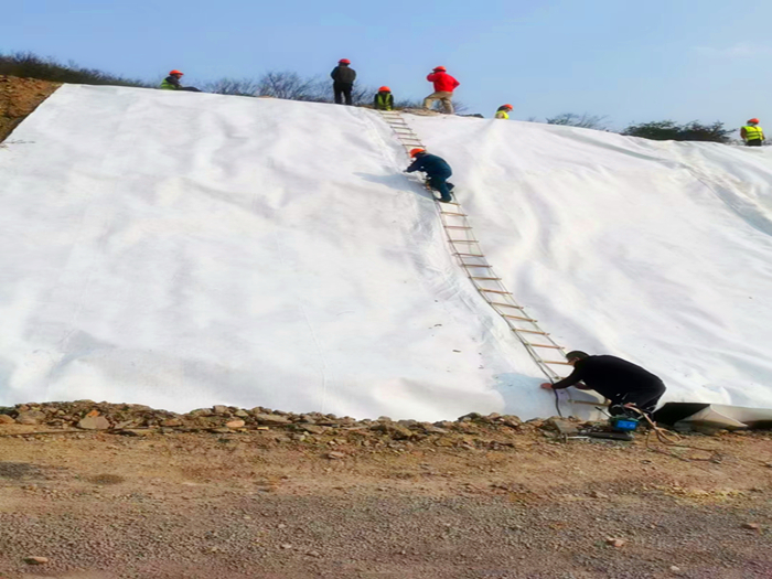 西藏聚酯长丝土工布多少钱一平方?