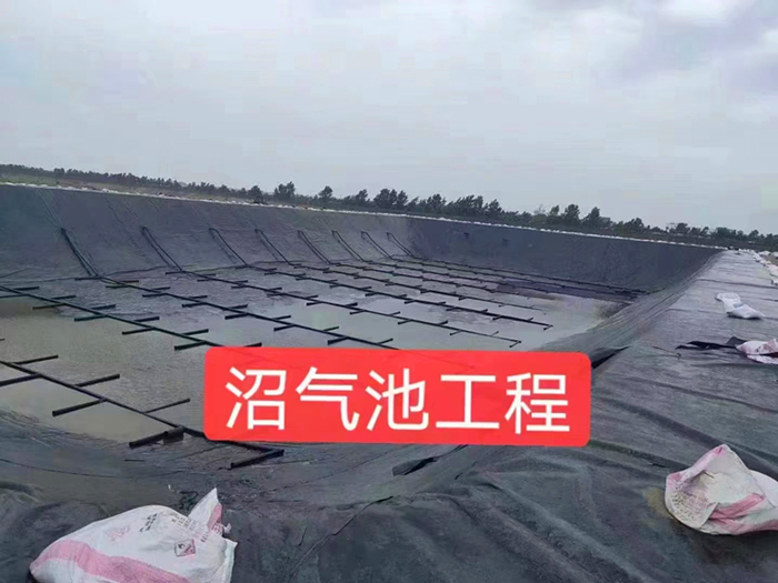 西藏黑膜厌氧塘采用什么标准的土工膜合适？