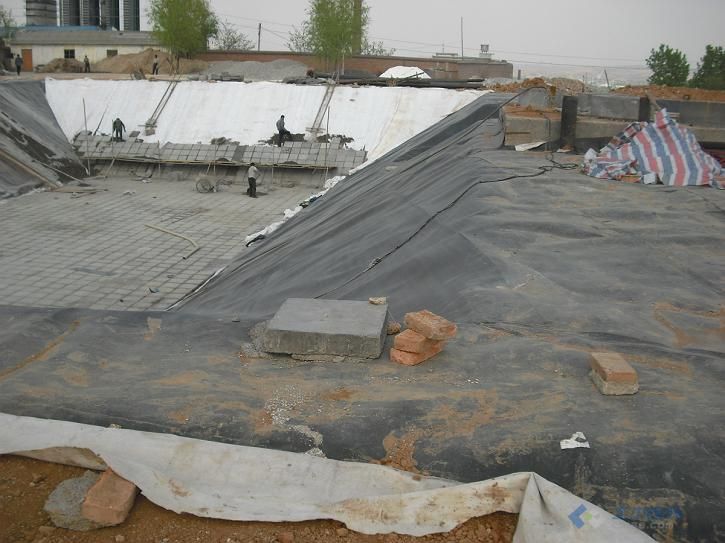 西藏一布一膜一平方多少钱？