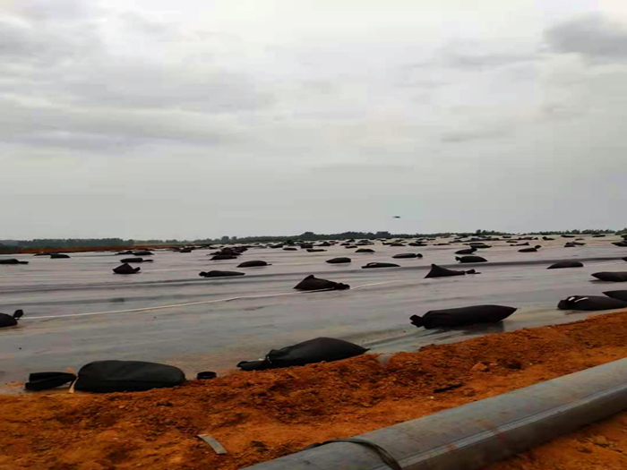 西藏垃圾场土工膜临时封场用多厚的?合一平方多少钱?